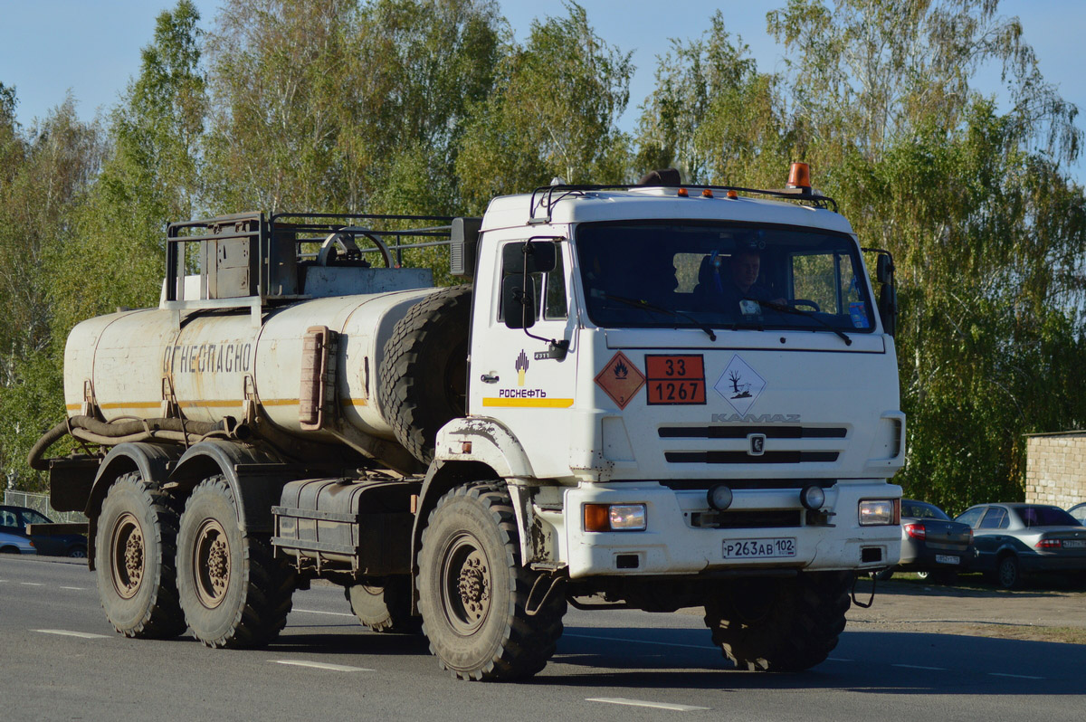 Башкортостан, № Р 263 АВ 102 — КамАЗ-43118-46