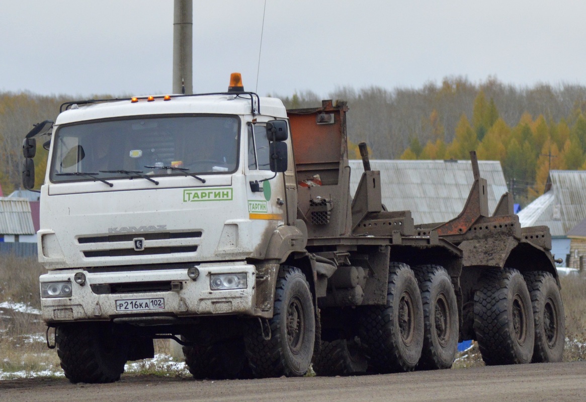 Башкортостан, № Р 216 КА 102 — КамАЗ-43118-46