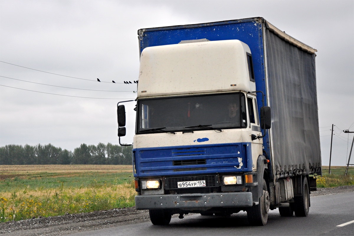 Пермский край, № В 954 УР 159 — DAF F220 (общая модель)