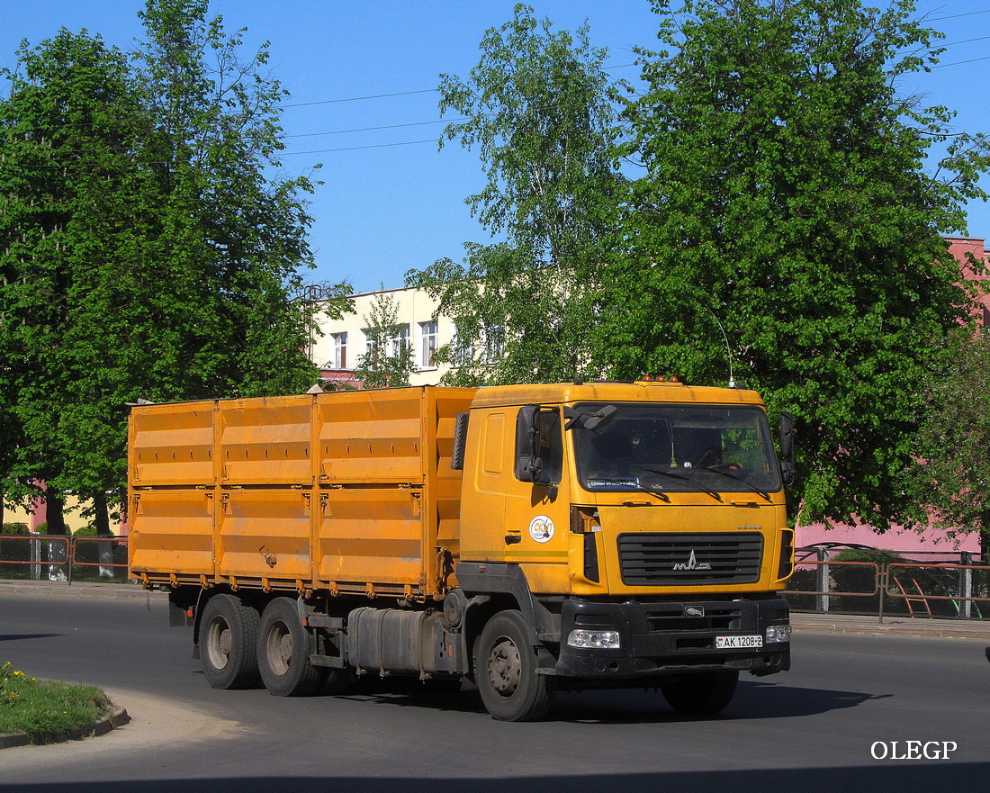 Витебская область, № АК 1208-2 — МАЗ-6501 (общая модель)