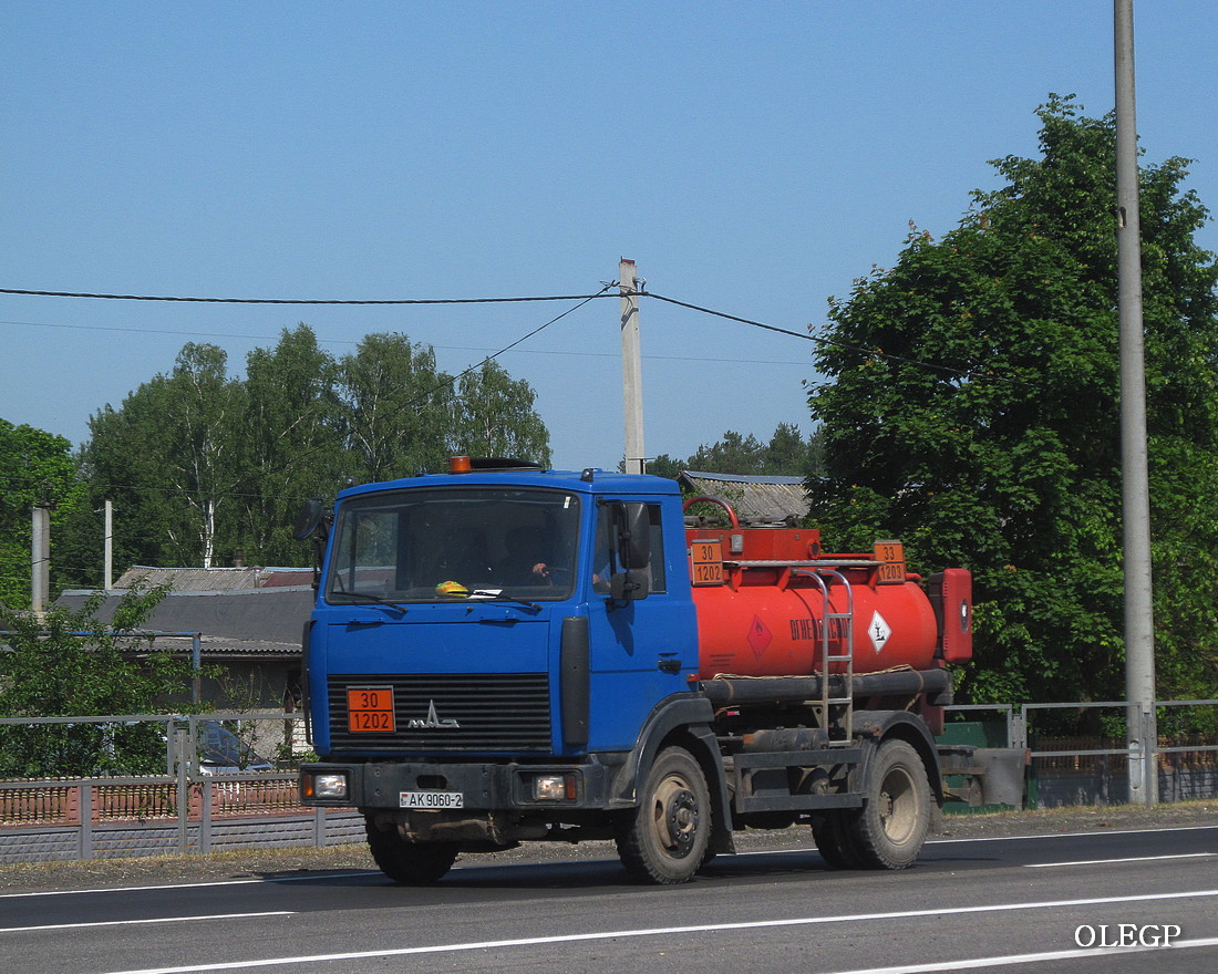 Витебская область, № АК 9060-2 — МАЗ-4570 (общая модель)