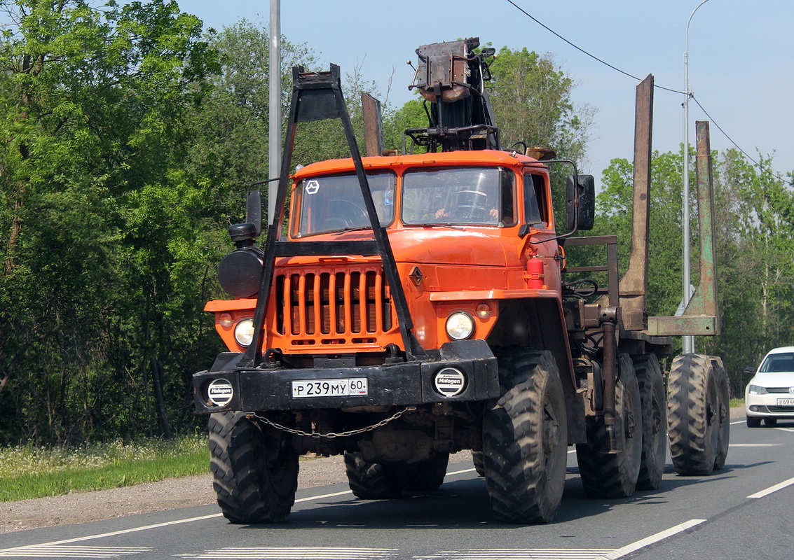 Псковская область, № Р 239 МУ 60 — Урал (общая модель)