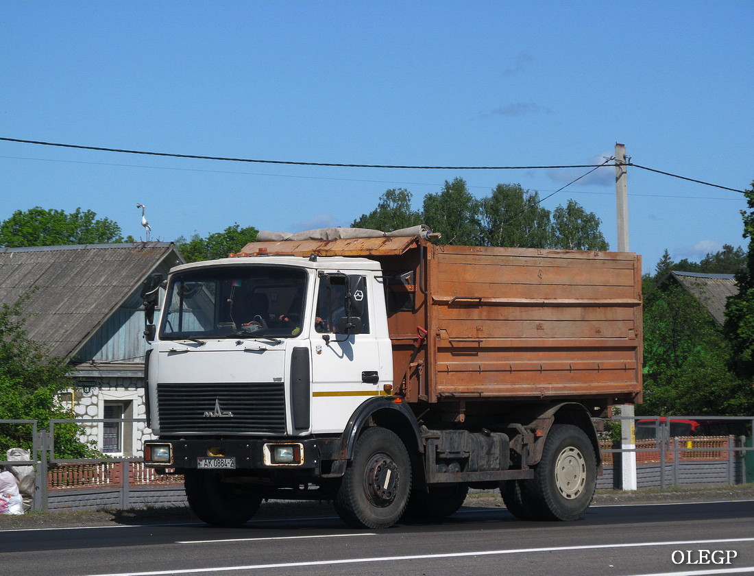 Витебская область, № АК 0884-2 — МАЗ-5551 (общая модель)