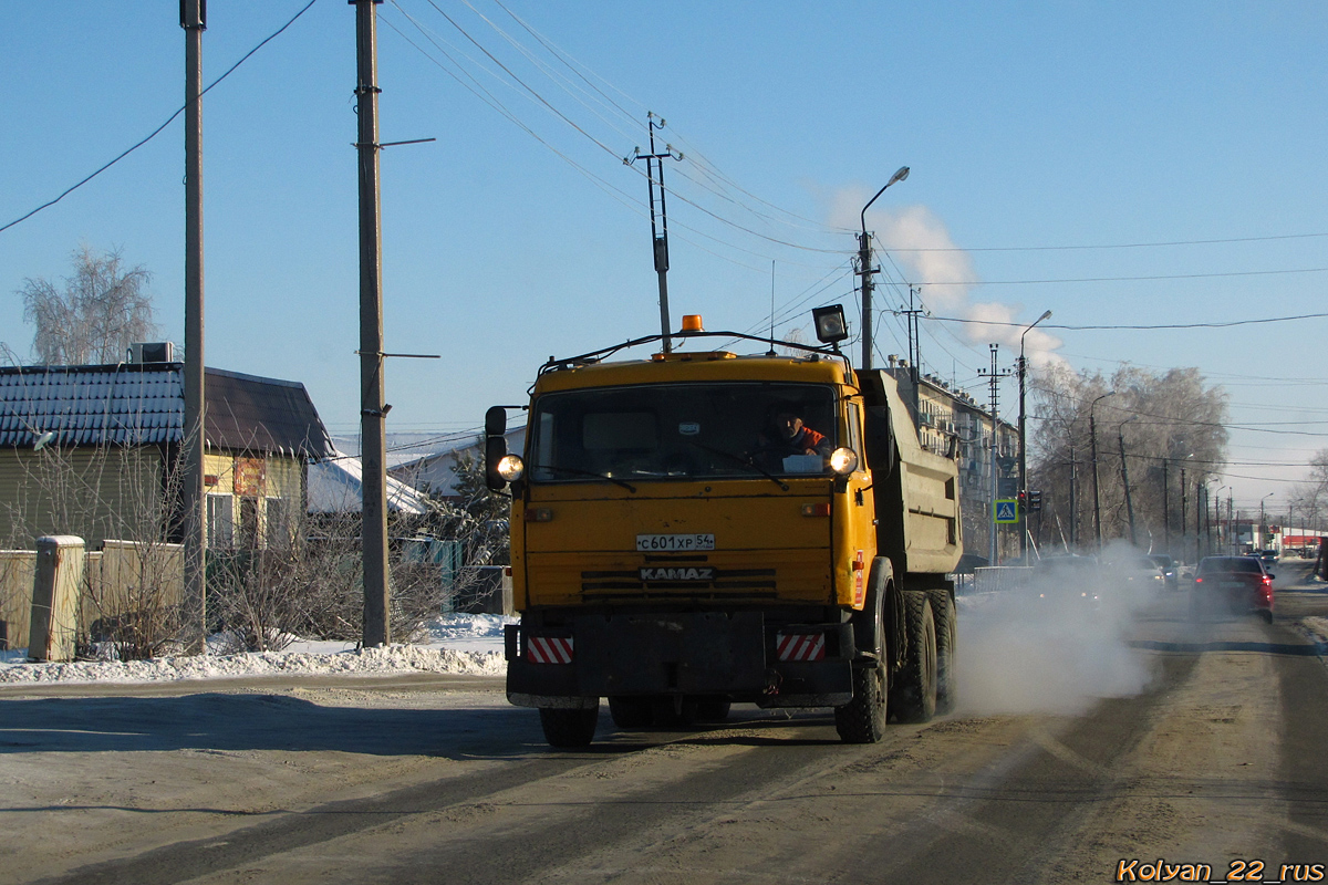 Новосибирская область, № С 601 ХР 54 — КамАЗ-55111 [551110]