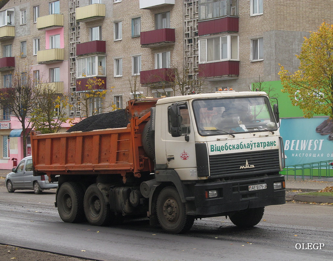 Витебская область, № 060003 — МАЗ-6501 (общая модель)