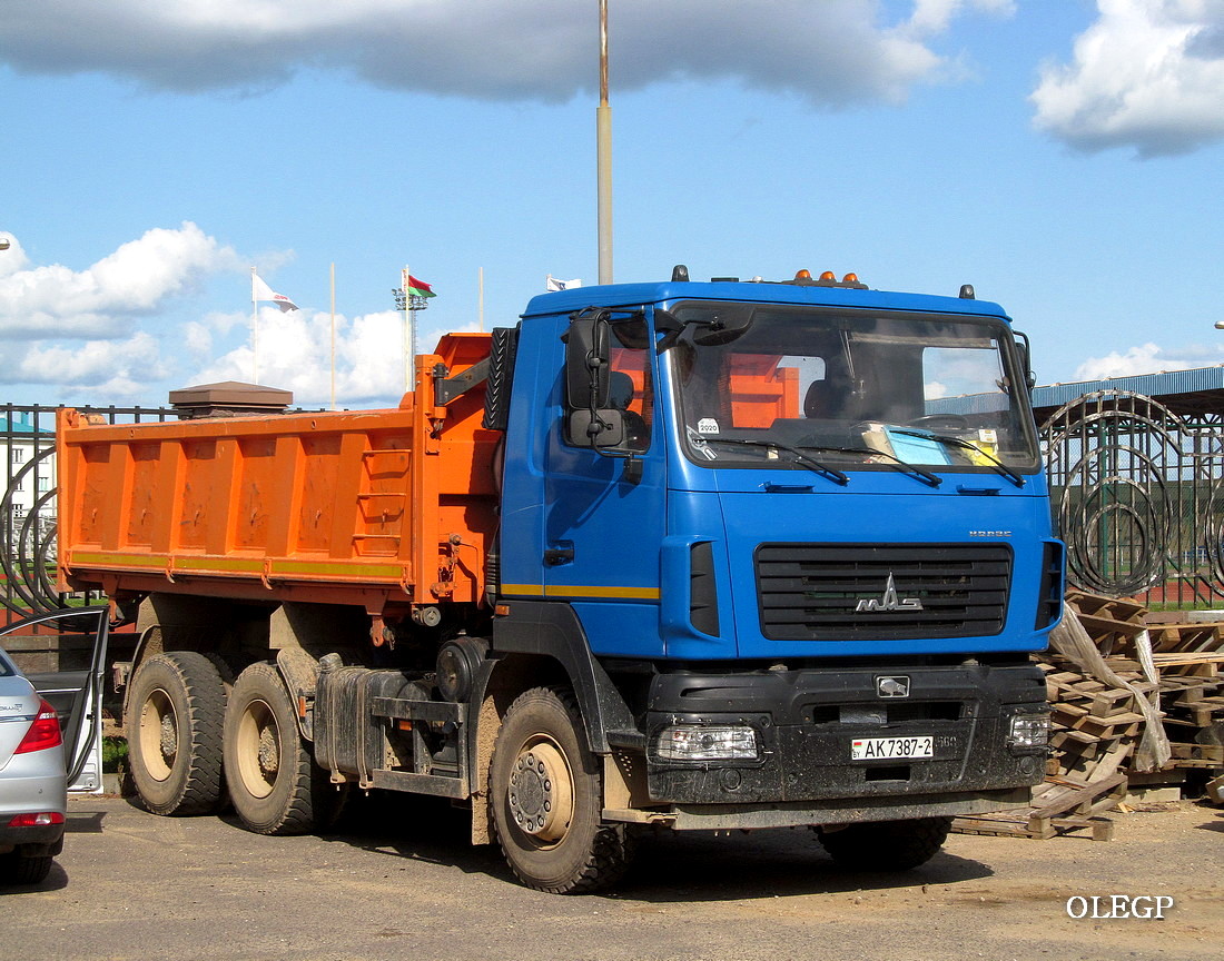 Витебская область, № АК 7387-2 — МАЗ-6501 (общая модель)