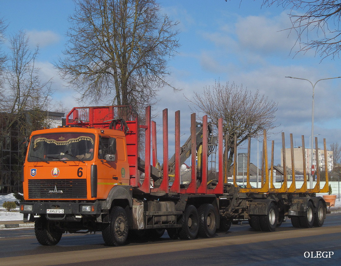 Витебская область, № АМ 4914-2 — МАЗ-6317 (общая модель)