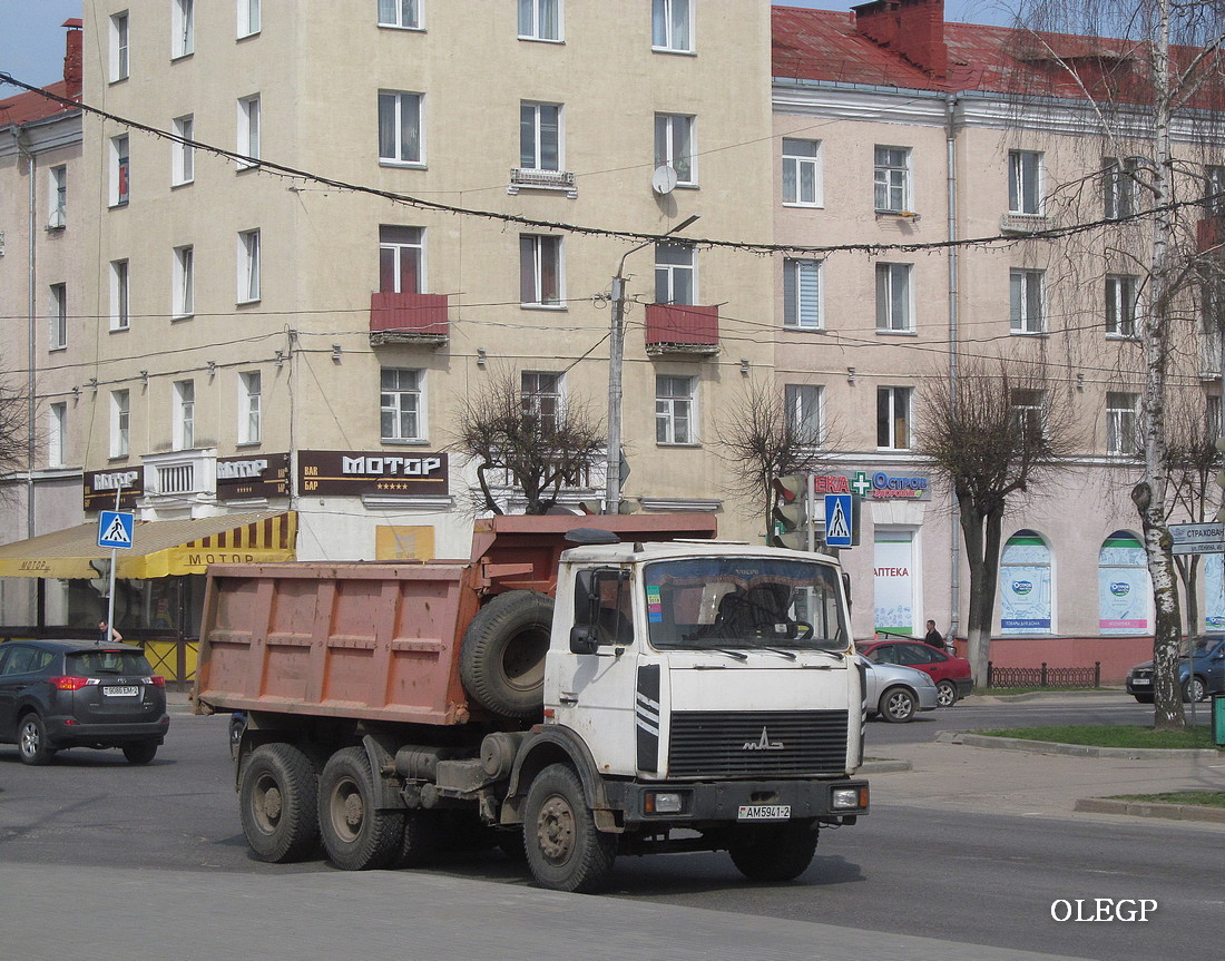 Витебская область, № АМ 5941-2 — МАЗ-5516 (общая модель)