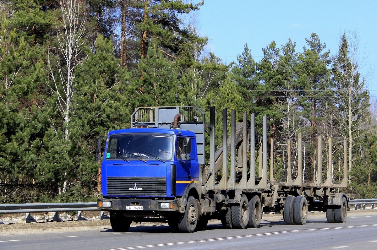 Могилёвская область, № АІ 3629-6 — МАЗ-6303 (общая модель)