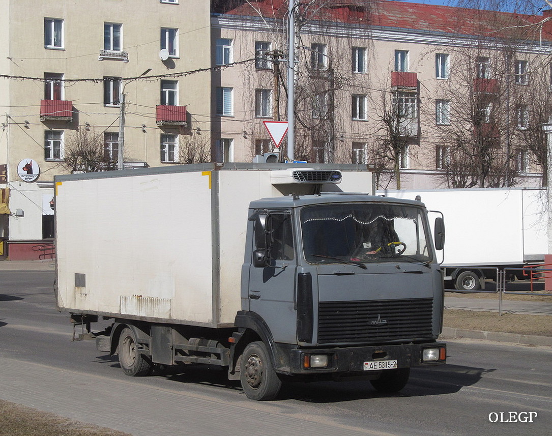 Витебская область, № АЕ 5315-2 — МАЗ-4370 (общая модель)