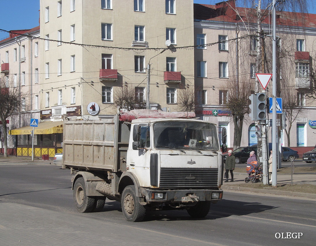 Витебская область, № АВ 8831-2 — МАЗ-5551 (общая модель)