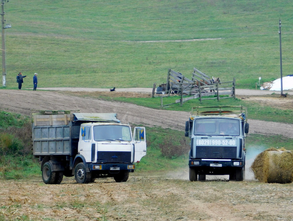 Гродненская область, № AA 7826-4 — МАЗ-5551 (общая модель); Гродненская область, № AK 4893-4 — МАЗ-5551 (общая модель)