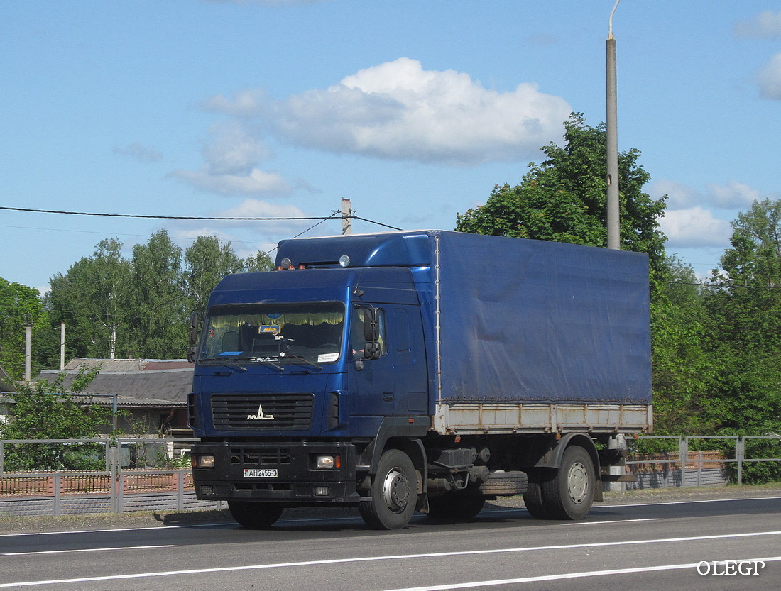 Гомельская область, № АН 2455-3 — МАЗ-5340 (общая модель)