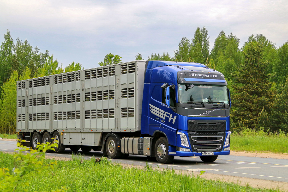 Ленинградская область, № А 786 МВ 147 — Volvo ('2012) FH.460 [X9P]; Volvo ('2012) FH "Unlimited Edition" (Ленинградская область)