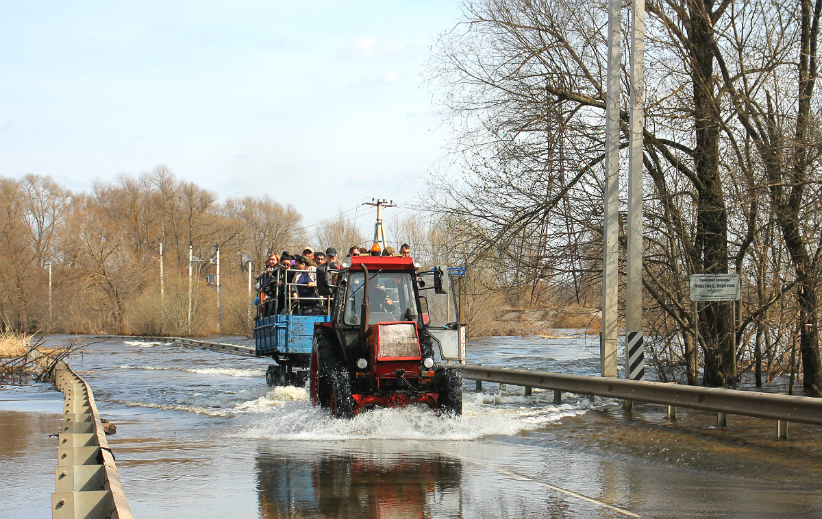 Воронежская область, № 9060 ВХ 36 — ЛТЗ-55А