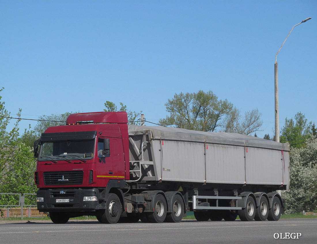 Витебская область, № АМ 3591-2 — МАЗ-6430 (общая модель)