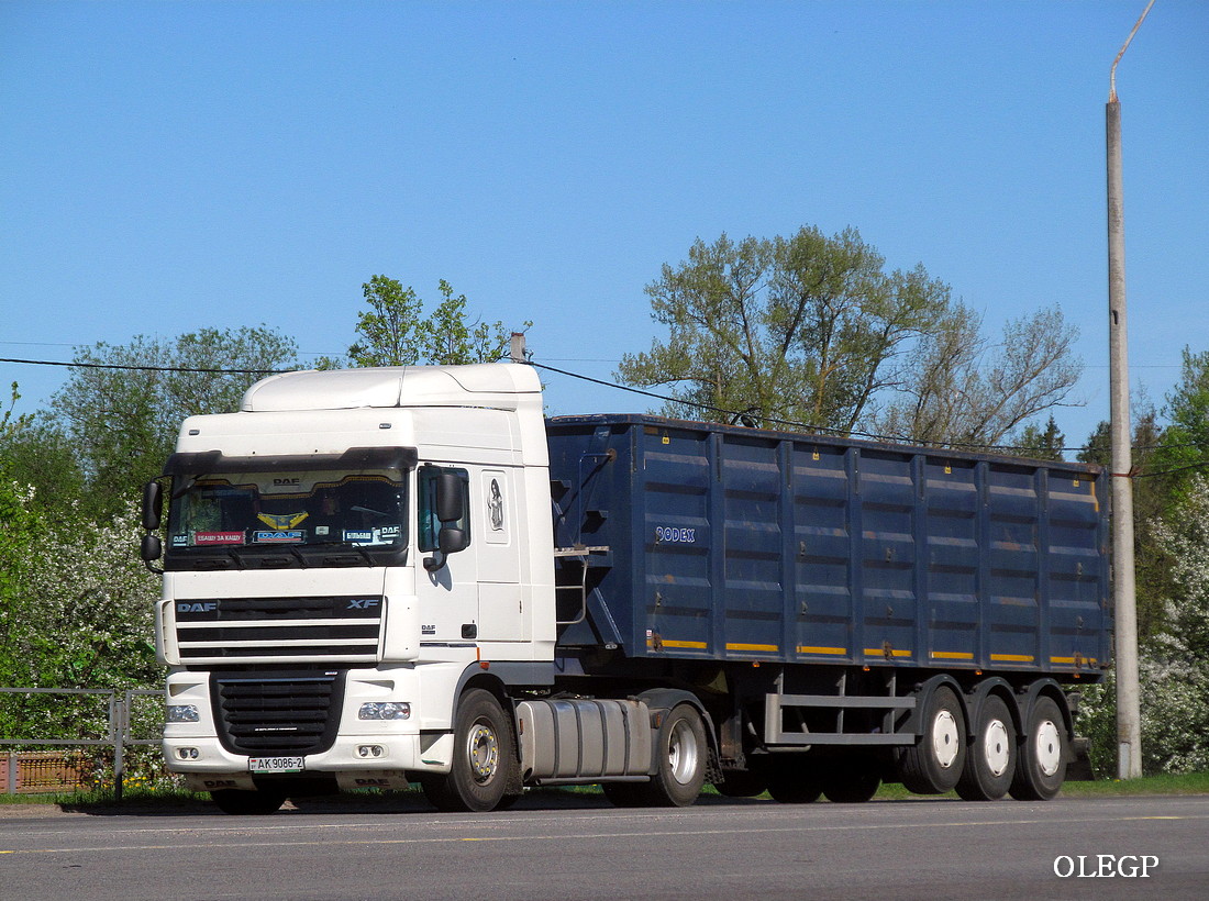 Витебская область, № АК 9086-2 — DAF XF105 FT