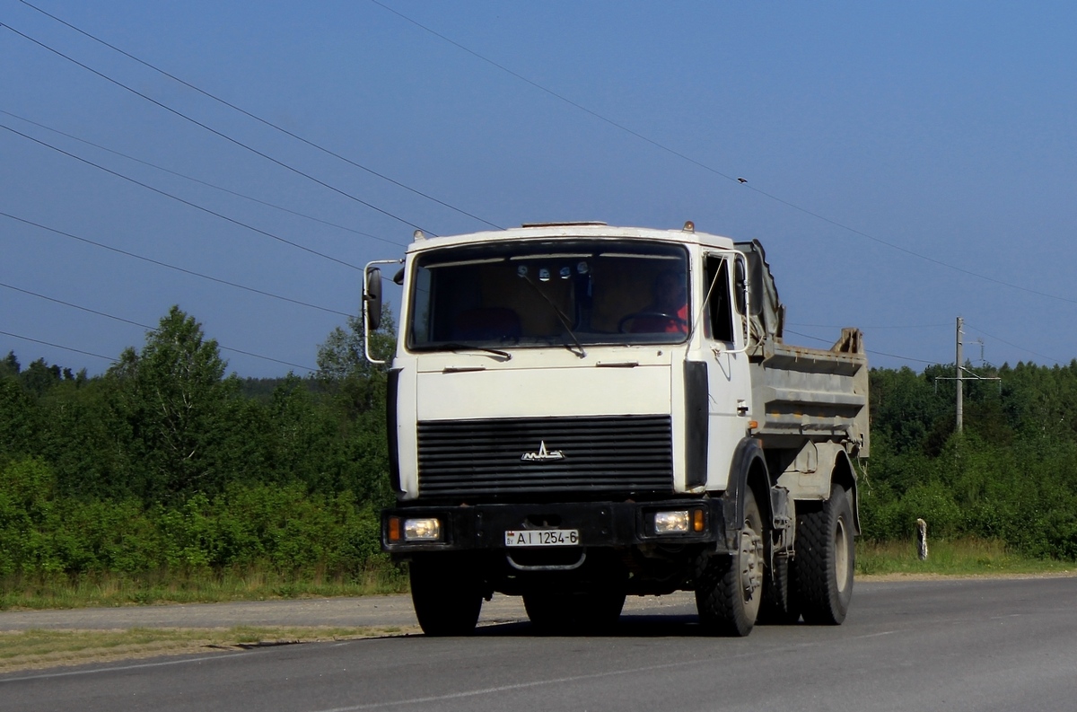 Могилёвская область, № АІ 1254-6 — МАЗ-5551 (общая модель)