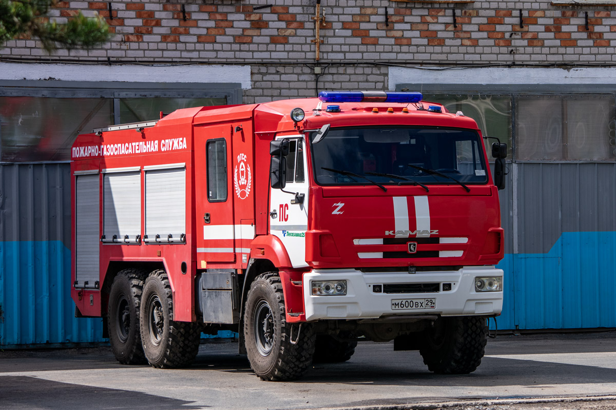 Архангельская область, № М 600 ВХ 29 — КамАЗ-43118-46