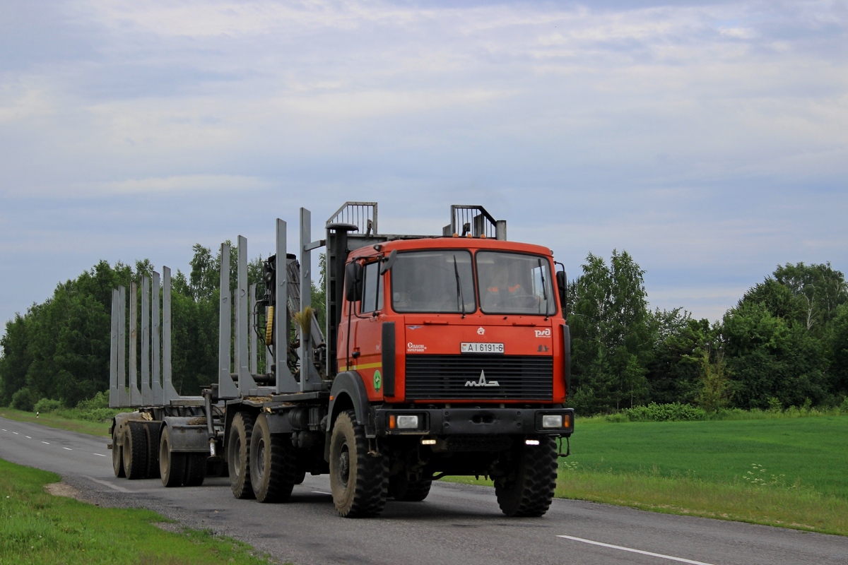 Могилёвская область, № АІ 6191-6 — МАЗ-6317 (общая модель)