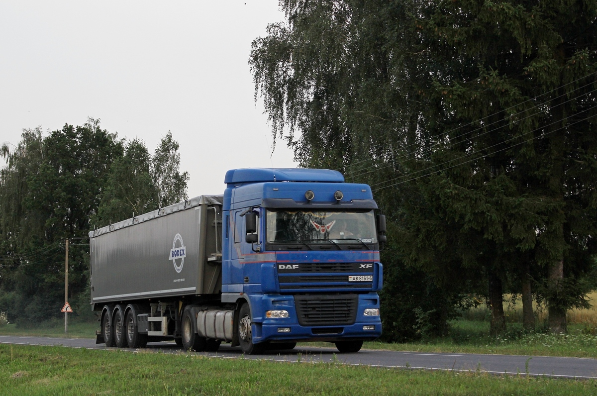 Могилёвская область, № АК 8161-6 — DAF XF95 FT