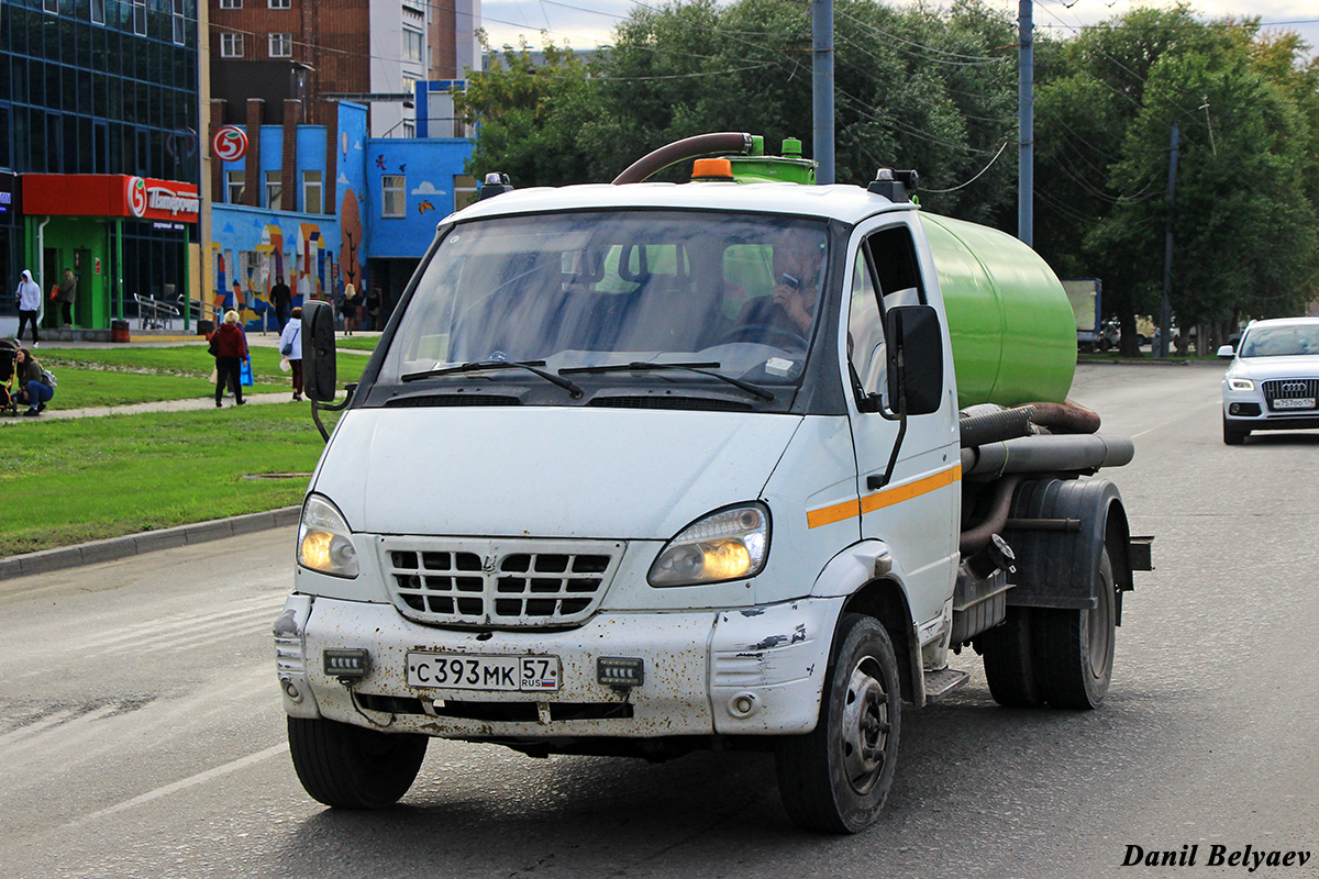 Челябинская область, № С 393 МК 57 — ГАЗ-33104 "Валдай"