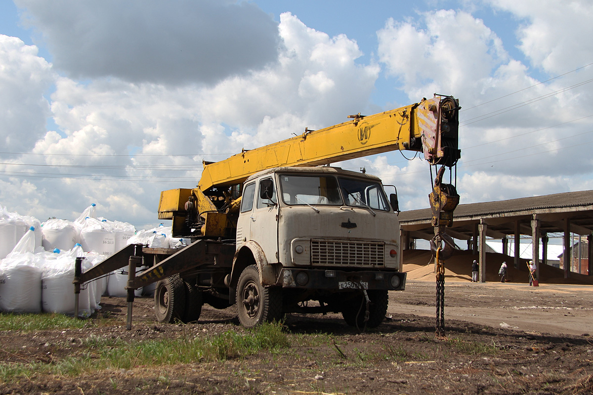 Рязанская область, № Е 250 ЕР 62 — МАЗ-5334