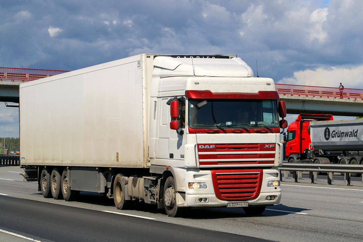 Псковская область, № Н 309 МА 60 — DAF XF105 FT