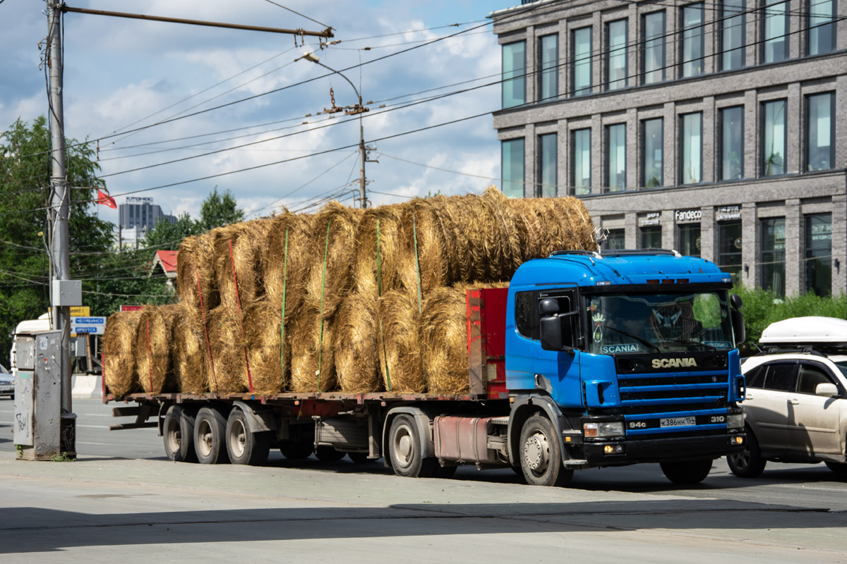 Новосибирская область, № К 386 НН 154 — Scania ('1996) P94G