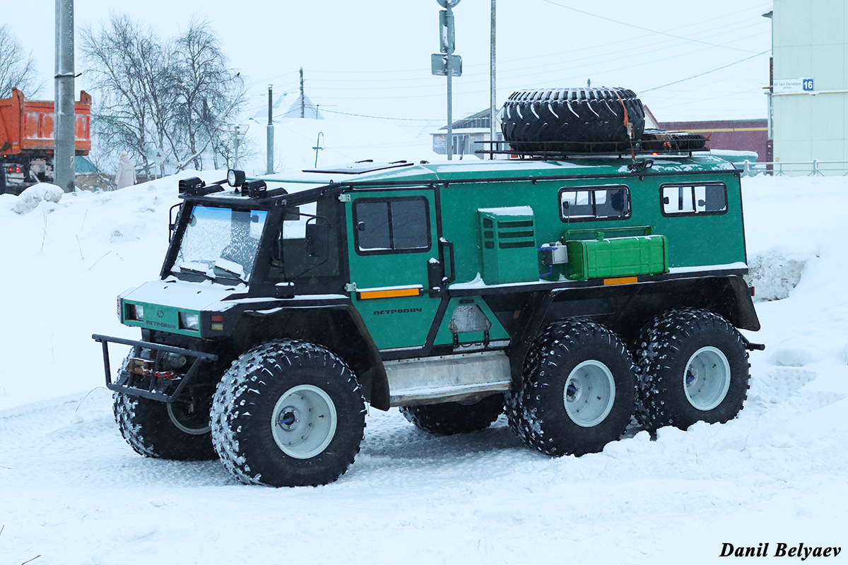 Ненецкий автономный округ, № 1766 ОО 83 — Петрович (общая модель)