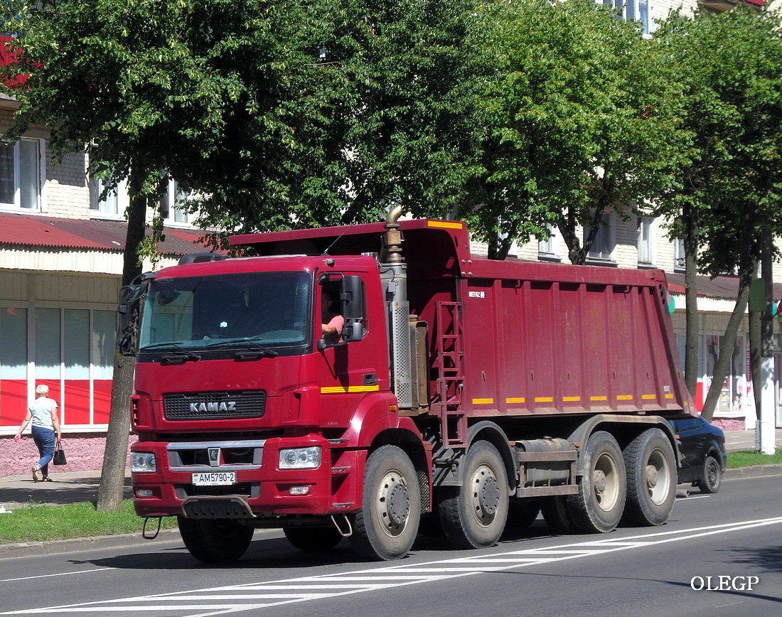 Витебская область, № АМ 5790-2 — КамАЗ-65801-T5