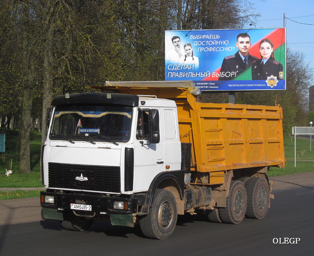 Витебская область, № АМ 6485-2 — МАЗ-5516 (общая модель)