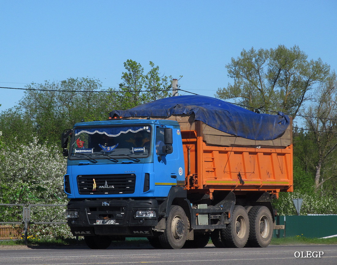 Витебская область, № АМ 9705-2 — МАЗ-650128