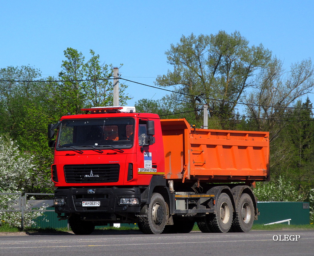 Витебская область, № АН 0631-2 — МАЗ-6501 (общая модель)