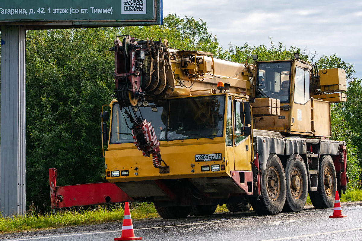 Архангельская область, № О 209 СУ 29 — Terex / Demag