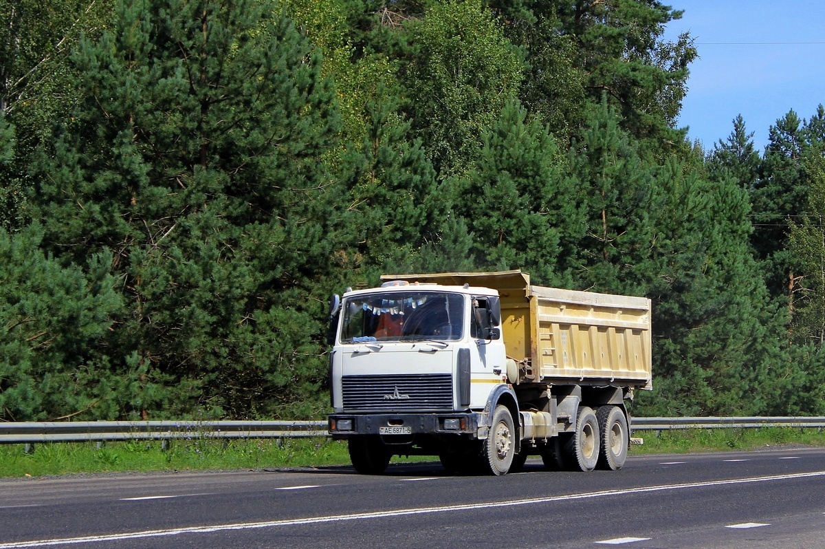 Могилёвская область, № АЕ 6871-6 — МАЗ-5516 (общая модель)