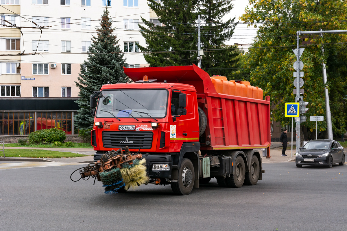 Башкортостан, № М 559 ВА 702 — МАЗ-650128