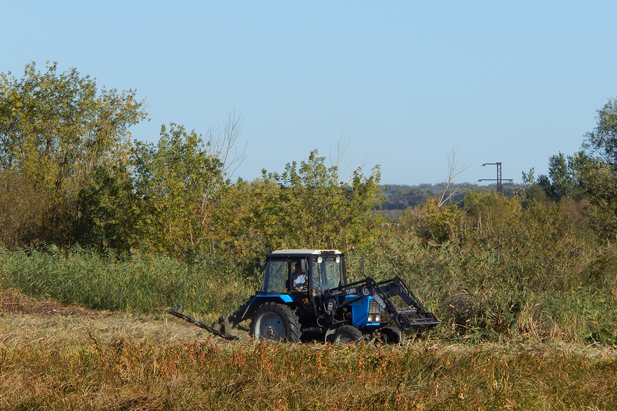 Белгородская область, № 7687 ЕХ 31 — Беларус-82.1