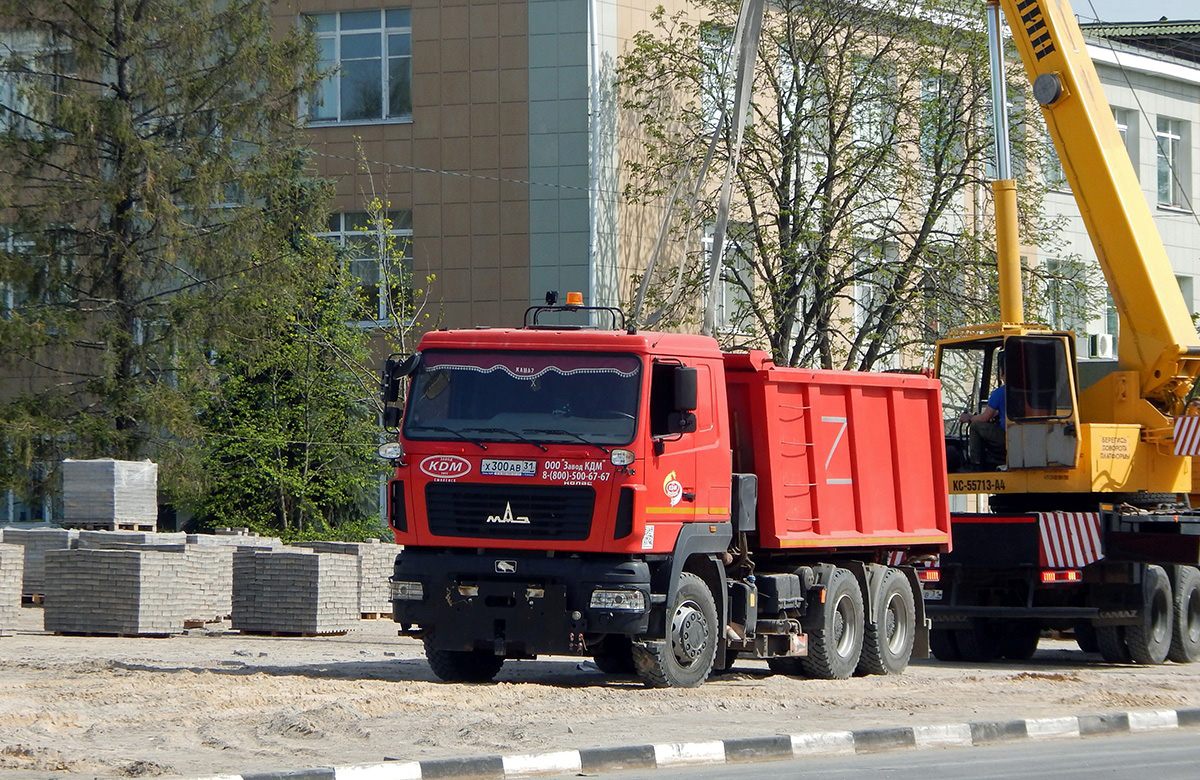 Белгородская область, № Х 300 АВ 31 — МАЗ-5516 (общая модель)