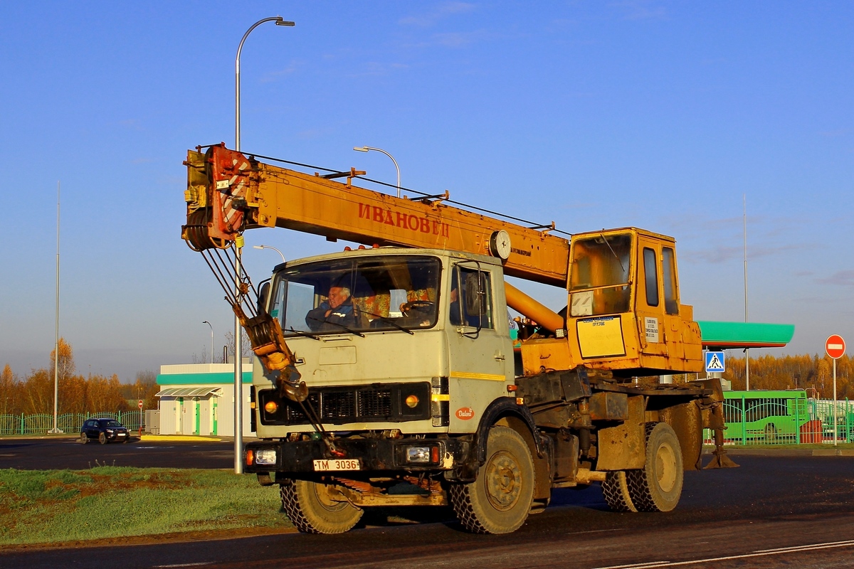 Могилёвская область, № ТМ 3036 — МАЗ-5337 (общая модель)