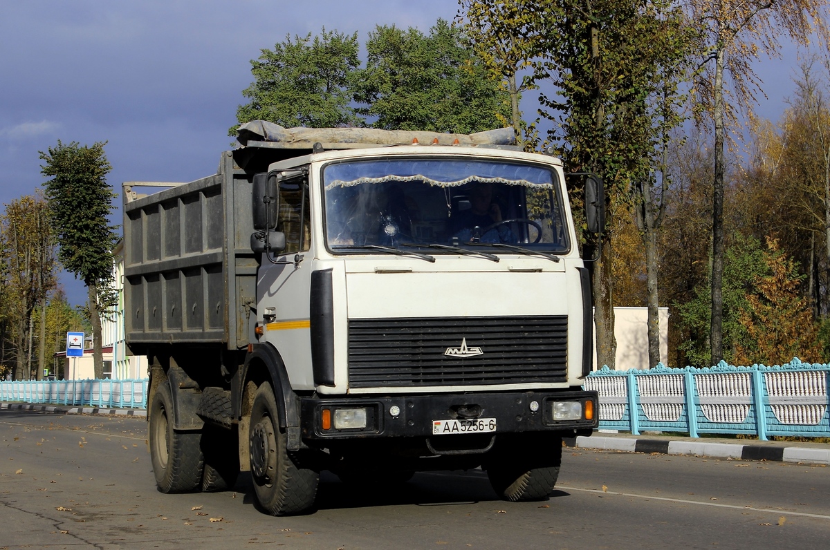 Могилёвская область, № АА 5256-6 — МАЗ-555142