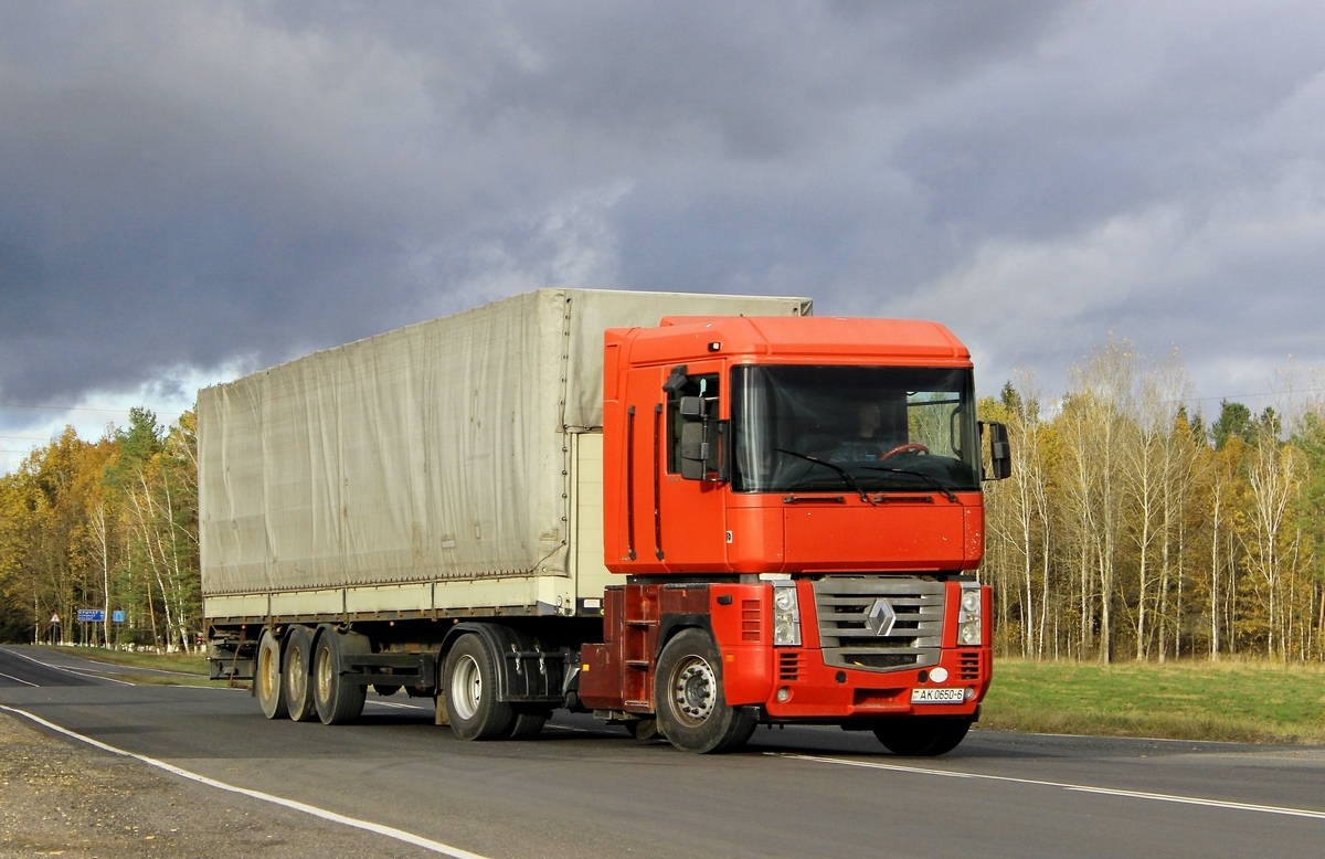 Могилёвская область, № АК 0650-6 — Renault Magnum ('2008)