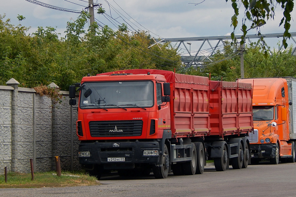 Белгородская область, № Х 212 НС 31 — МАЗ-65012J