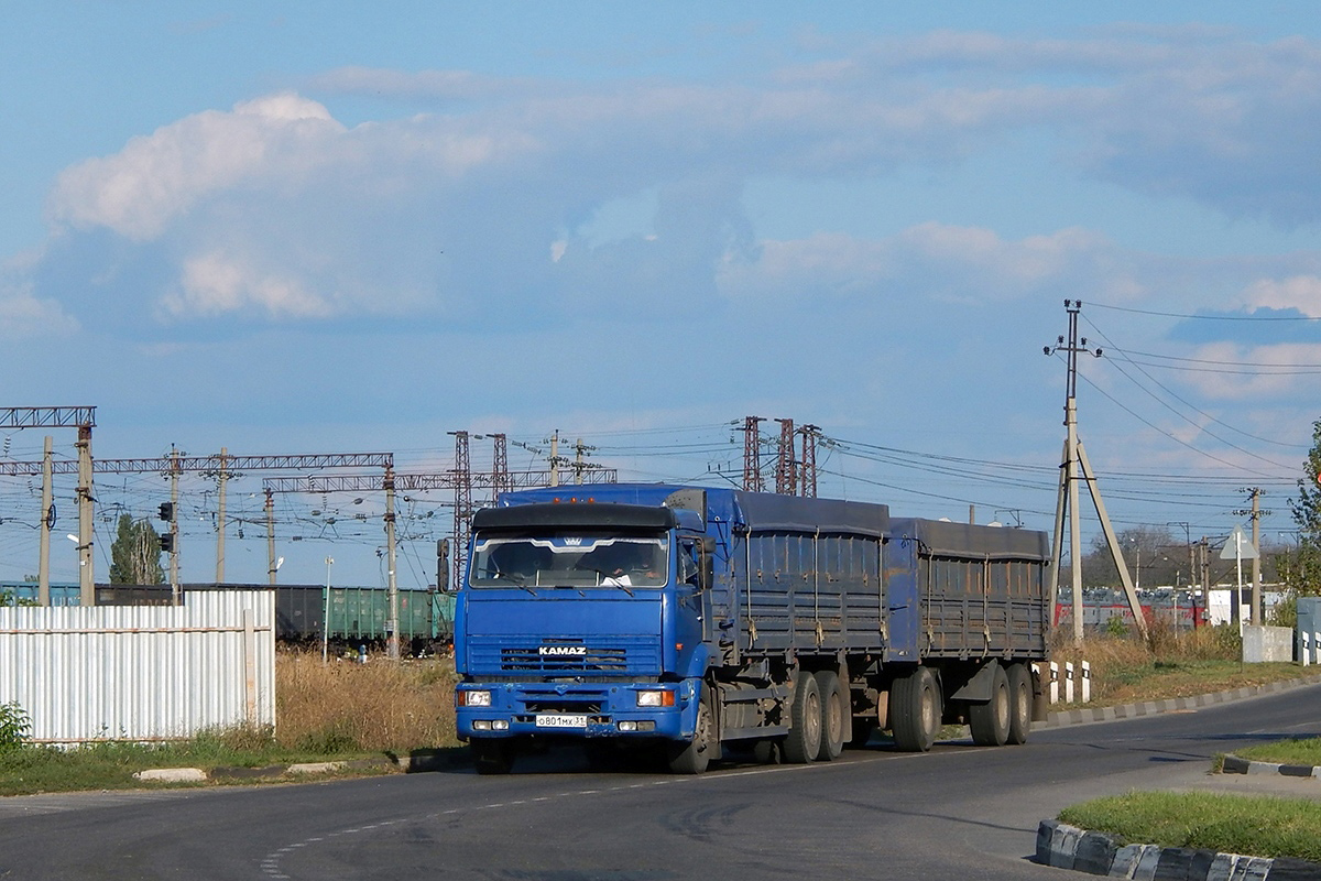 Белгородская область, № О 801 МХ 31 — КамАЗ-65117-62