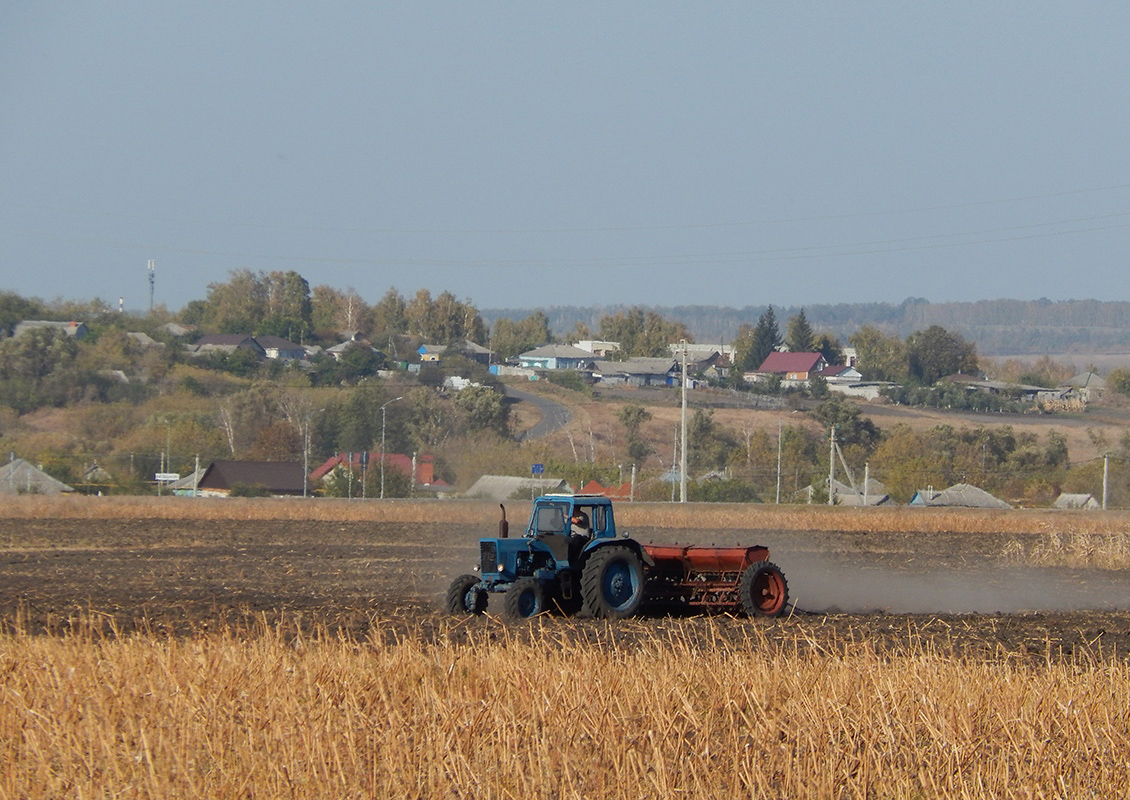 Белгородская область, № 5959 ЕК 31 — МТЗ-82