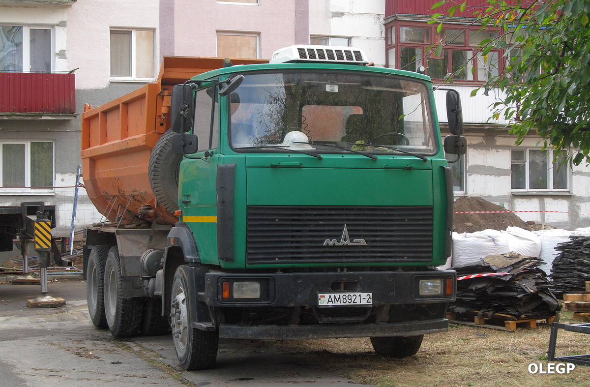 Витебская область, № АМ 8921-2 — МАЗ-5516 (общая модель)