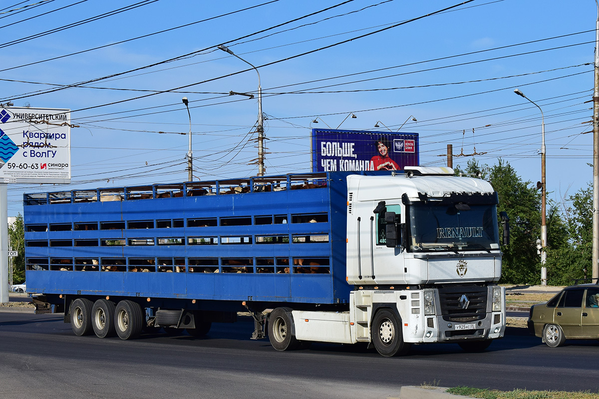 Дагестан, № У 925 НС 05 — Renault Magnum ('2008)