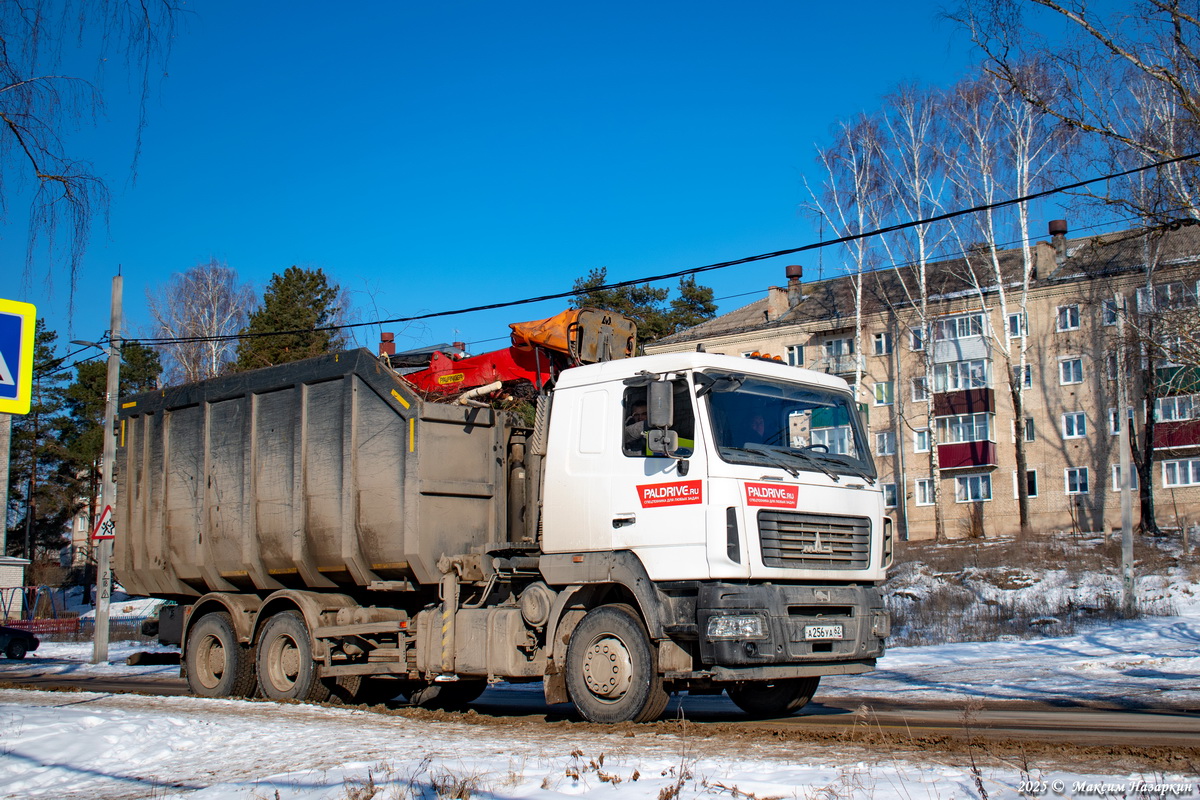 Рязанская область, № А 256 УА 62 — МАЗ-631228