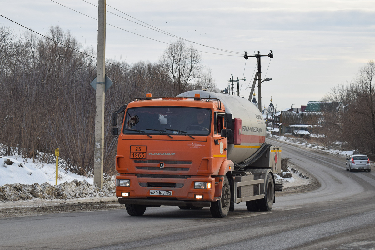 Новосибирская область, № О 301 МВ 154 — КамАЗ-43253-R4(28)