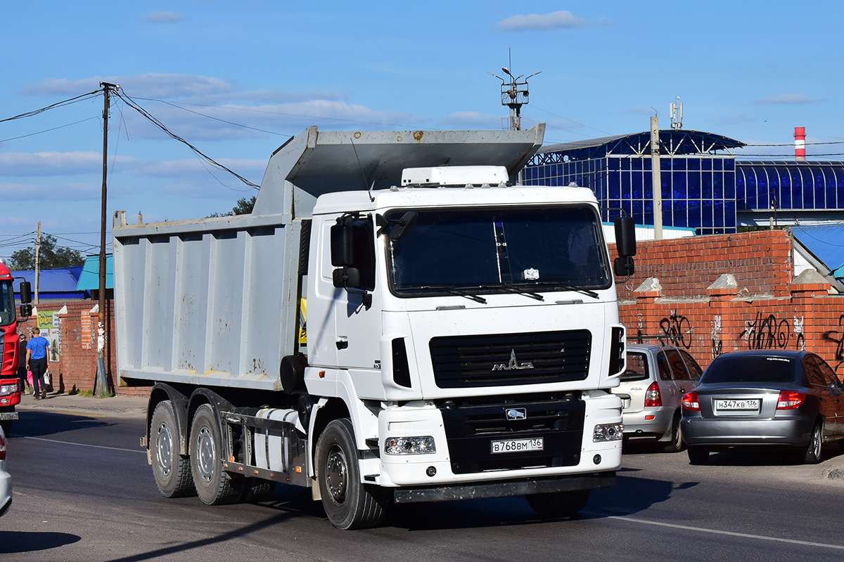 Воронежская область, № В 768 ВМ 136 — МАЗ-6501B9